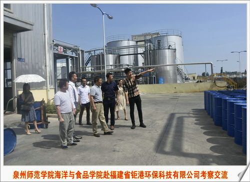 海洋與食品學院專家團赴福建省鉅港環(huán)保科技公司開展技術(shù)交流，共促綠色食品與環(huán)保技術(shù)融合發(fā)展